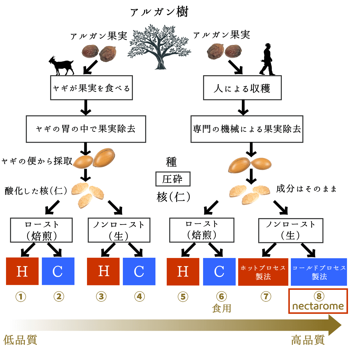 高品質nectaromeアルガンオイル